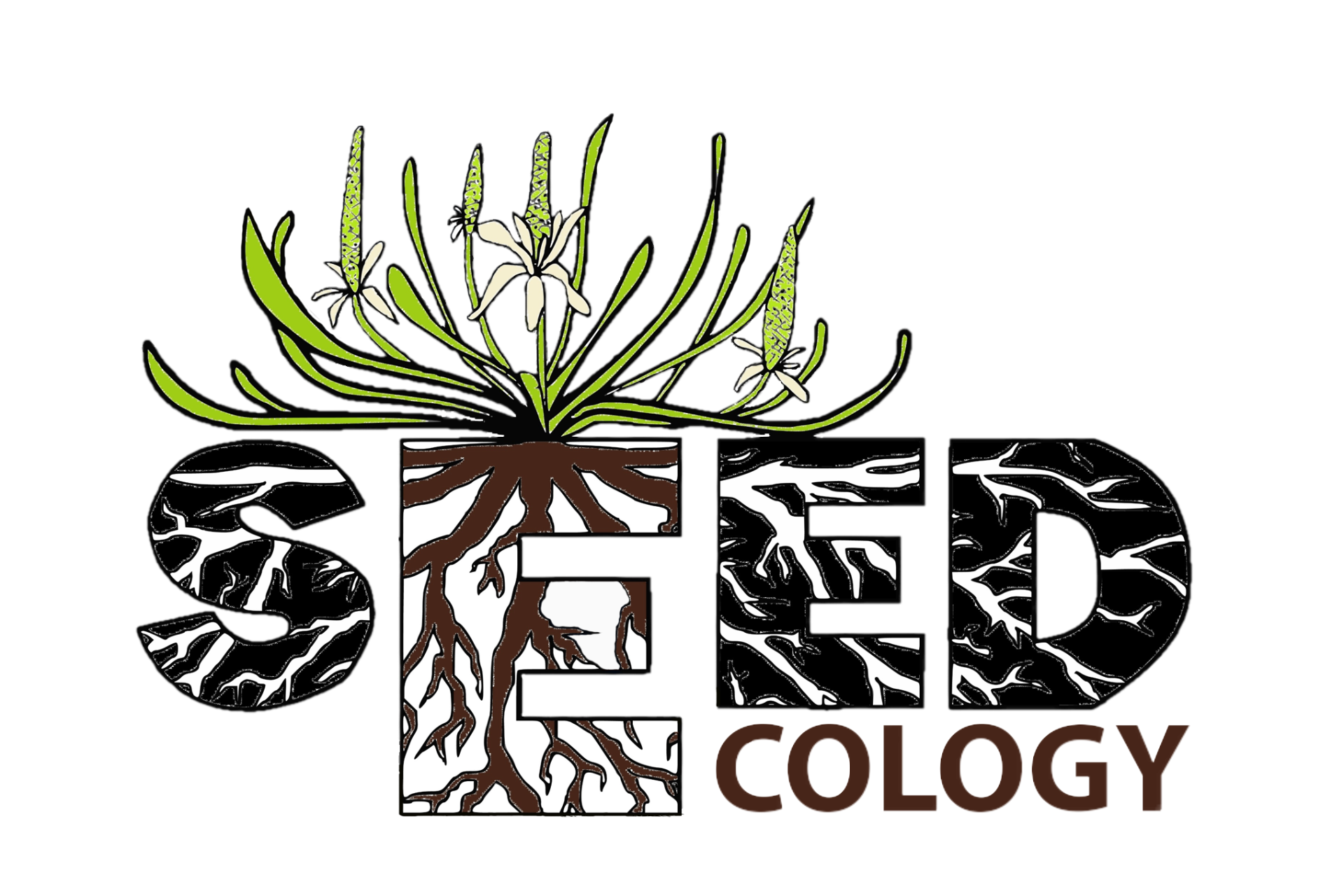 laura-god-seed-ecology-research-group